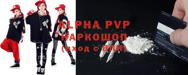 тгк Новозыбков