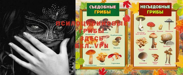 спиды Новодвинск