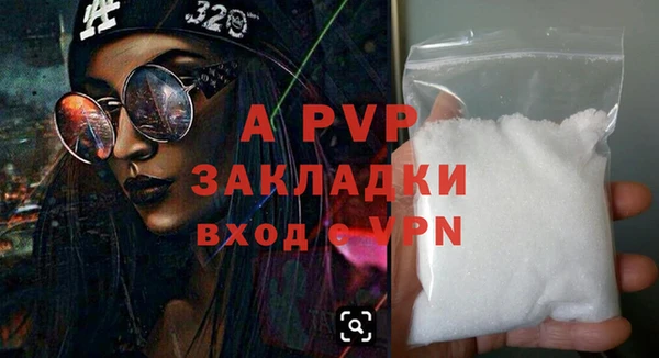 спиды Новодвинск