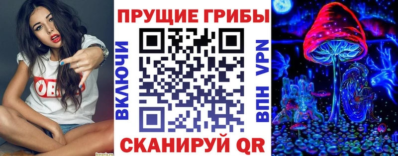 Галлюциногенные грибы Magic Shrooms  где купить   Гусь-Хрустальный 
