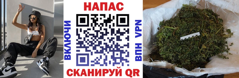Бошки Шишки планчик  Гусь-Хрустальный 